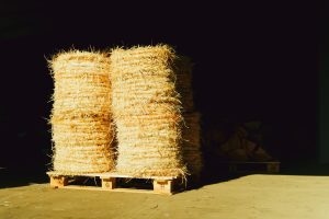 Hala produkcyjna Warmwood — produkcja kontraktowa