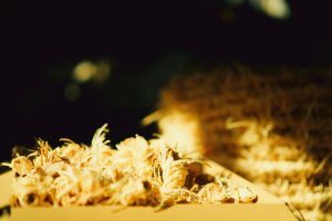 Skręcanie liny drzewnej — proces produkcji Warmwood